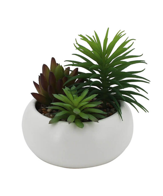 Artificial Succulent Arrangement